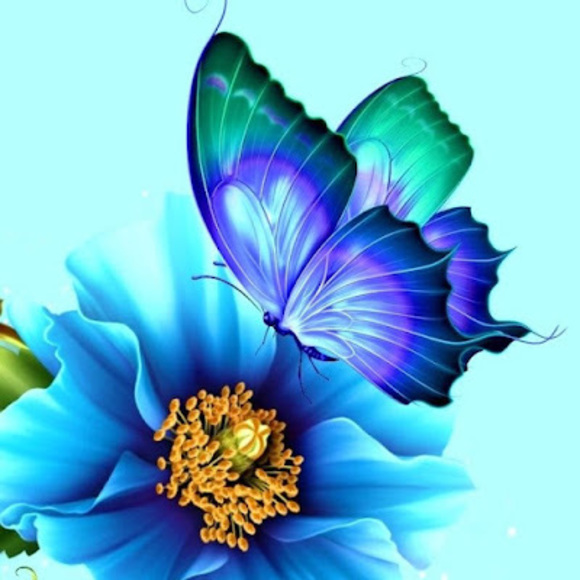 Meet your Posher, Donna - Picture 1 of 1